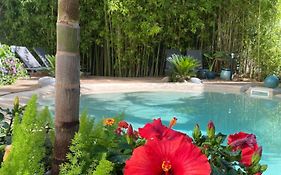 Appt Ambiance Exotique 2 Ch Piscine Lagon